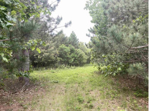 LOT 5 Stonebrook Rd