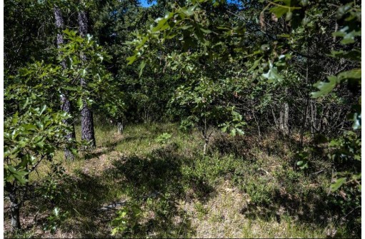 LOT 10 18th St, Necedah, WI 54646