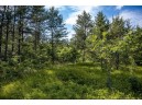 LOT 10 18th St, Necedah, WI 54646