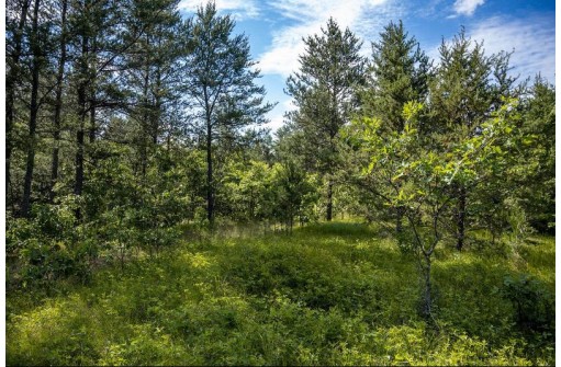 LOT 10 18th St, Necedah, WI 54646