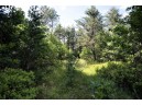 LOT 10 18th St, Necedah, WI 54646