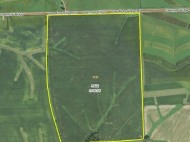 51+/- ACRES Seemore Ridge Rd