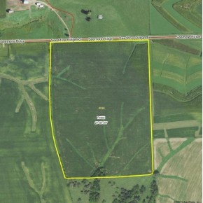 51+/- ACRES Seemore Ridge Rd