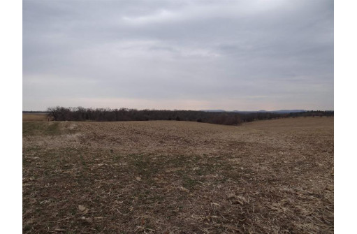 51+/- ACRES Seemore Ridge Rd, Potosi, WI 53820