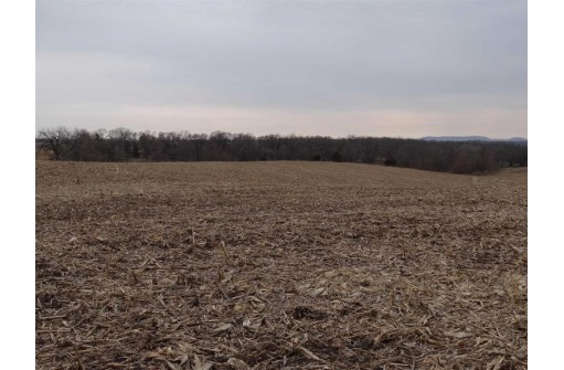 51+/- ACRES Seemore Ridge Rd, Potosi, WI 53820