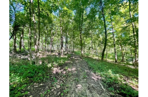 000 Taylor Hollow Rd, Blue River, WI 53518