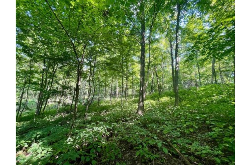 000 Taylor Hollow Rd, Blue River, WI 53518