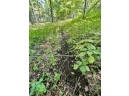 000 Taylor Hollow Rd, Blue River, WI 53518