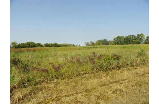 25 ACRES 37th Ave, Poy Sippi, WI 54967