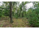 10 AC 9th Ave, Wisconsin Dells, WI 53965