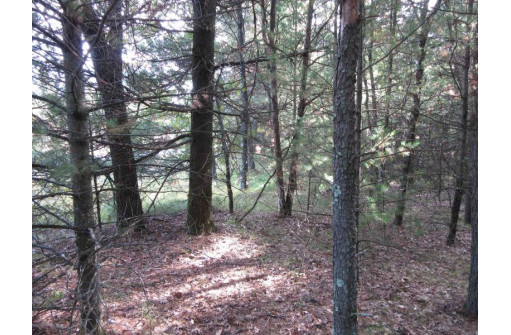 LOT 1 19th Ave, Necedah, WI 54646