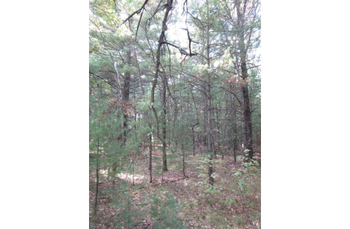 LOT 1 19th Ave, Necedah, WI 54646