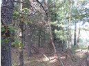 LOT 1 19th Ave, Necedah, WI 54646