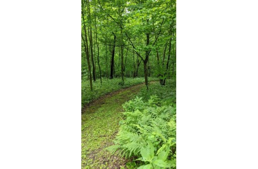 2950 Hwy 39, Mineral Point, WI 53565