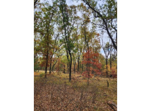 LOT 24 N Duck Creek Ct Adams, WI 53910