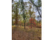 LOT 24 N Duck Creek Ct Adams, WI 53910