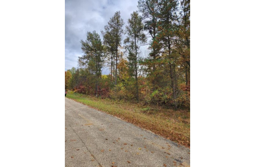 LOT 24 N Duck Creek Ct, Adams, WI 53910