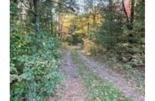 LOT4 10th Ave, Friendship, WI 53934