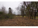 LOT 3 & 4 Bay Rd, Merrimac, WI 53561