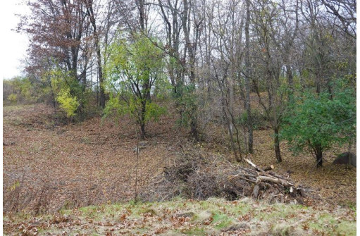 LOT 3 & 4 Bay Rd, Merrimac, WI 53561