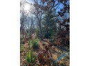 1.91 ACRES Blackhawk Rd, Portage, WI 53901