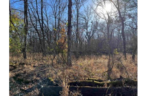 1.91 ACRES Blackhawk Rd, Portage, WI 53901