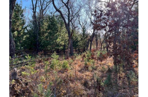 1.91 ACRES Blackhawk Rd, Portage, WI 53901