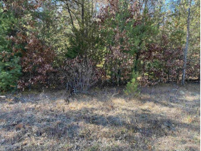 1.52 ACRES Queens Way