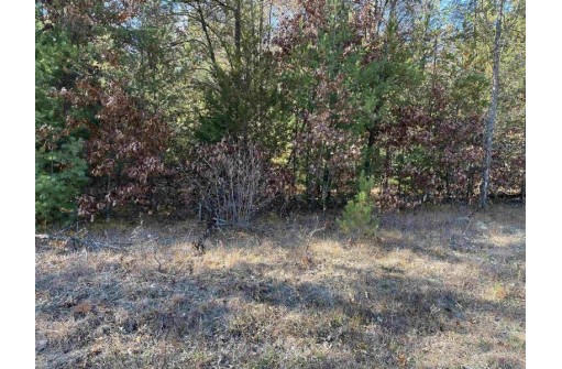 1.52 ACRES Queens Way, Necedah, WI 54646