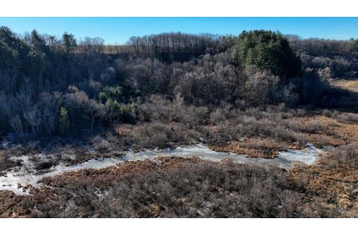 38 ACRES Bottom Rd, Wonewoc, WI 53968