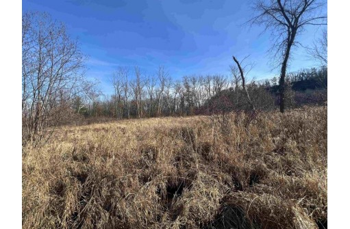 38 ACRES Bottom Rd, Wonewoc, WI 53968