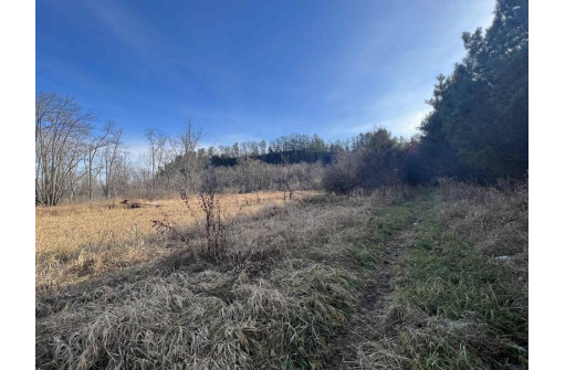 38 ACRES Bottom Rd, Wonewoc, WI 53968