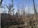 38 ACRES Bottom Rd, Wonewoc, WI 53968