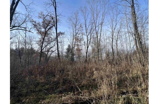 38 ACRES Bottom Rd, Wonewoc, WI 53968