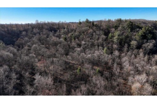 38 ACRES Bottom Rd, Wonewoc, WI 53968