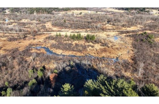 38 ACRES Bottom Rd, Wonewoc, WI 53968