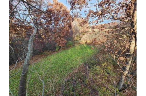 120 ACRES +/- Bennett Ln, Richland Center, WI 53581