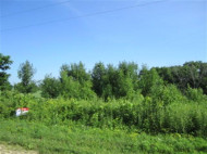 1.84 AC River Forest Dr