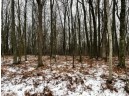 LOT 1032 Blue Ridge, La Valle, WI 53941