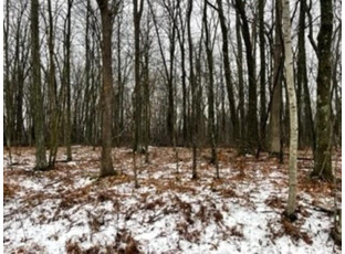 LOT 1032 Blue Ridge La Valle, WI 53941