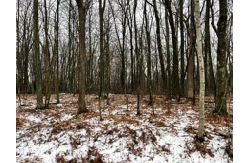 LOT 1032 Blue Ridge, La Valle, WI 53941