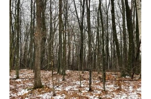 LOT 1032 Blue Ridge, La Valle, WI 53941