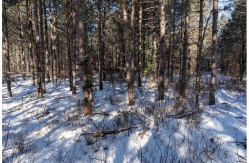 80 AC 7th Ave, New Lisbon, WI 53950