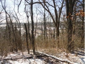 3.37 ACRES Turkey Rd