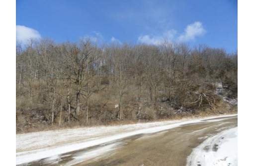 3.37 ACRES Turkey Rd, Black Earth, WI 53515