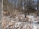 3.37 ACRES Turkey Rd, Black Earth, WI 53515