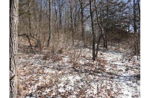 3.37 ACRES Turkey Rd, Black Earth, WI 53515