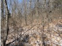 3.37 ACRES Turkey Rd, Black Earth, WI 53515