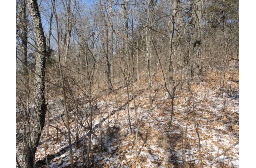 3.37 ACRES Turkey Rd, Black Earth, WI 53515