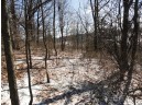 3.37 ACRES Turkey Rd, Black Earth, WI 53515